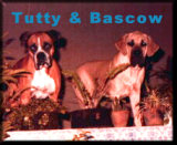 Tutty & Bascow